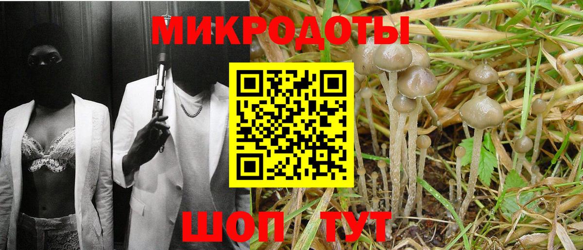Галлюциногенные грибы Psilocybine cubensis Красноармейск
