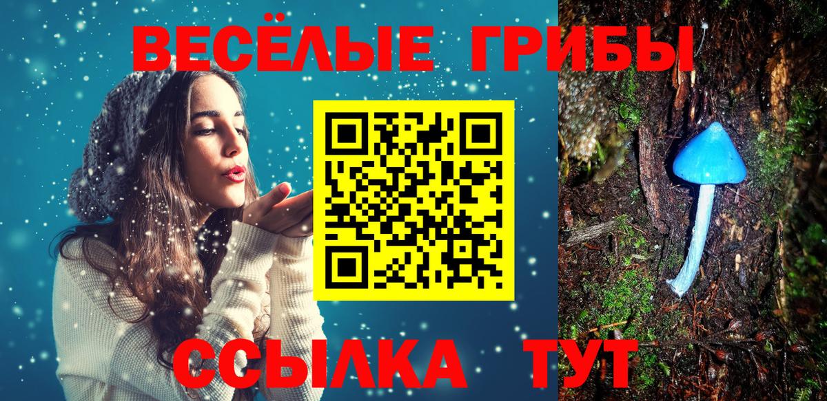 Красноармейск  Псилоцибиновые грибы Psilocybe  Вход с VPN  Псилоцибиновые грибы MAGIC MUSHROOMS 